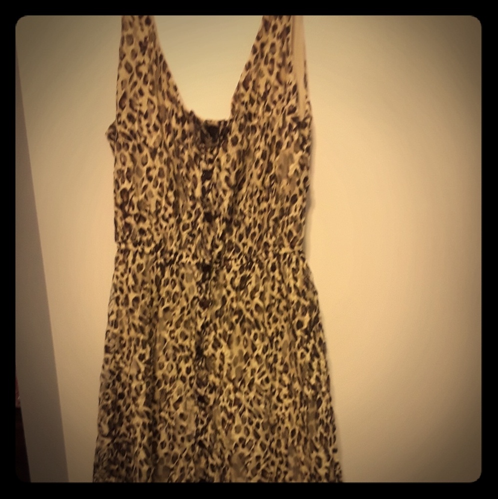 Pinup rockabilly leopard print lace dress